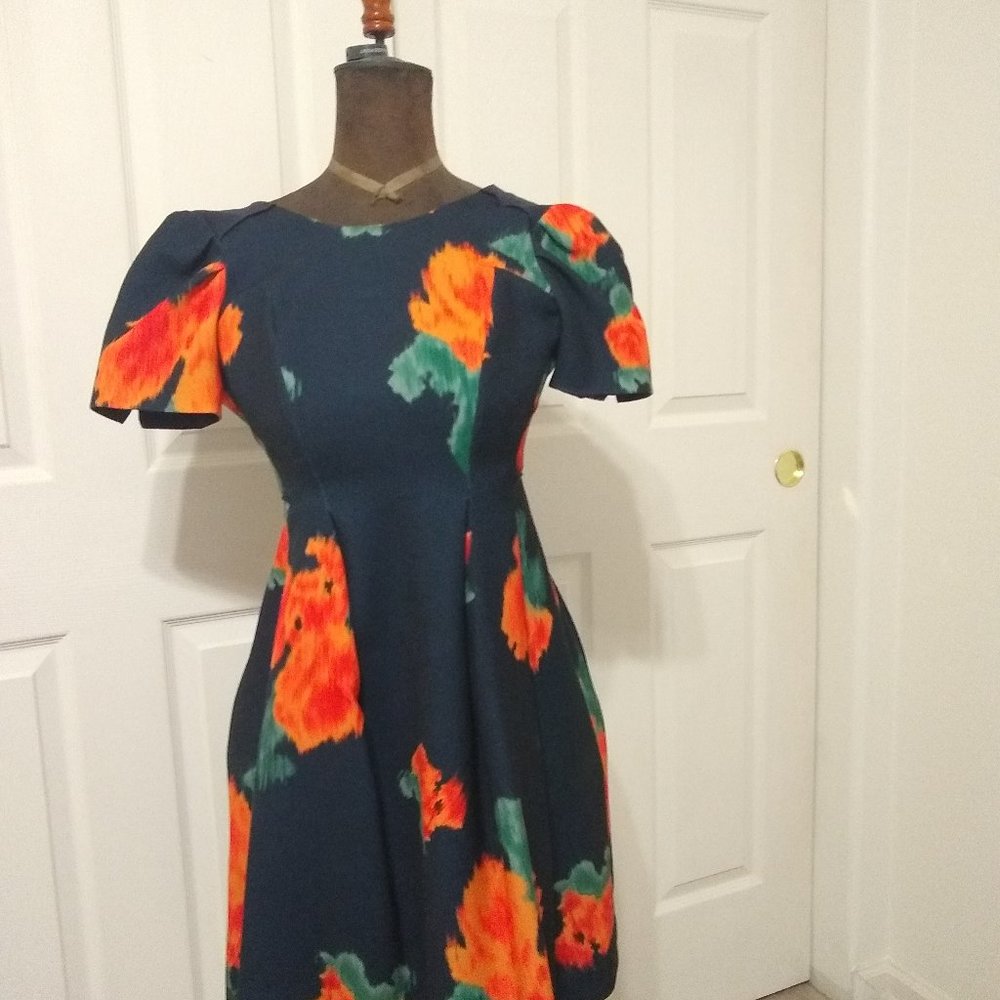 Anthropologie Red Poppy A-Line Dress Size 0